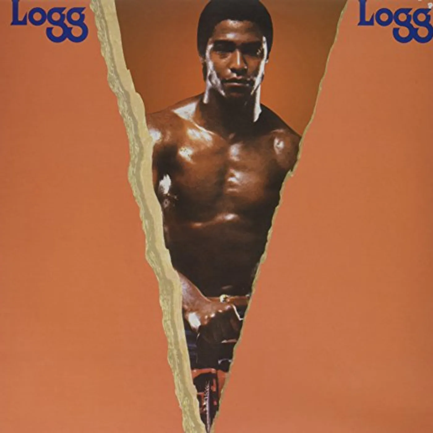 Logg Vinyl Record