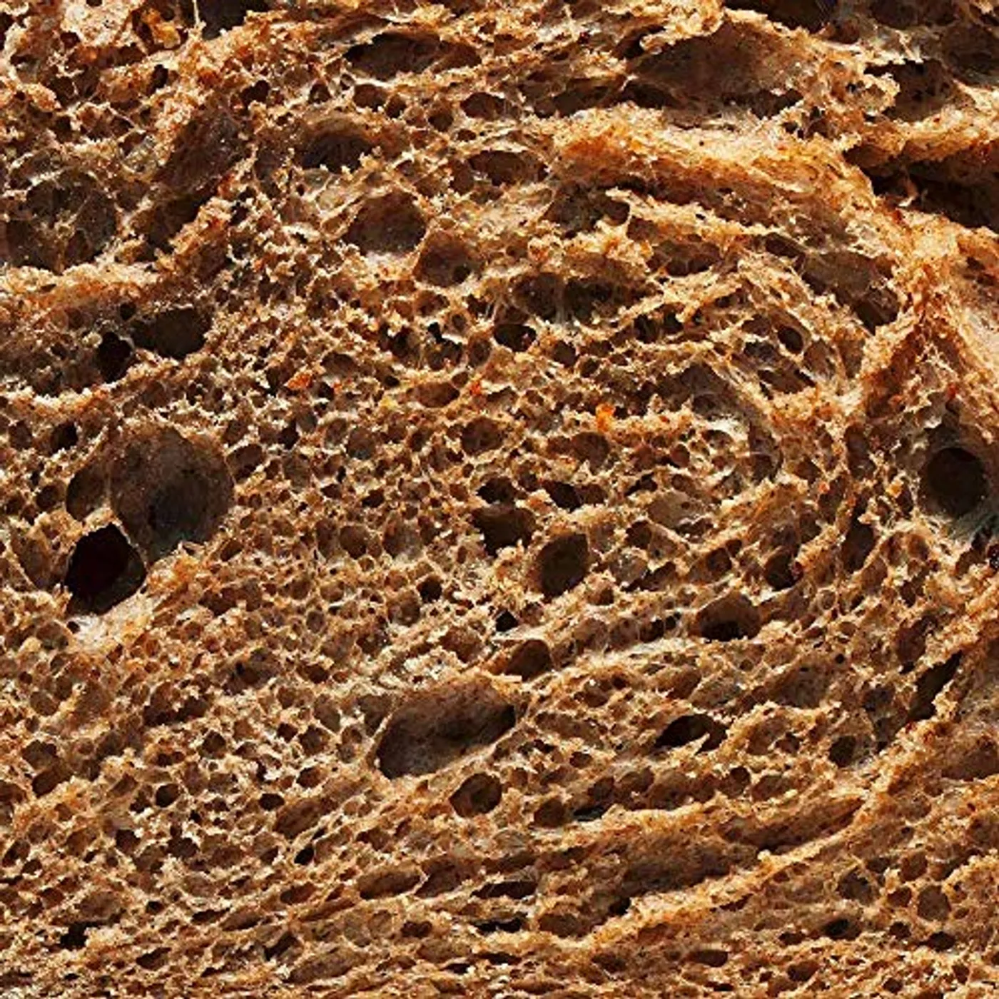 Orso PANINOTECA CD