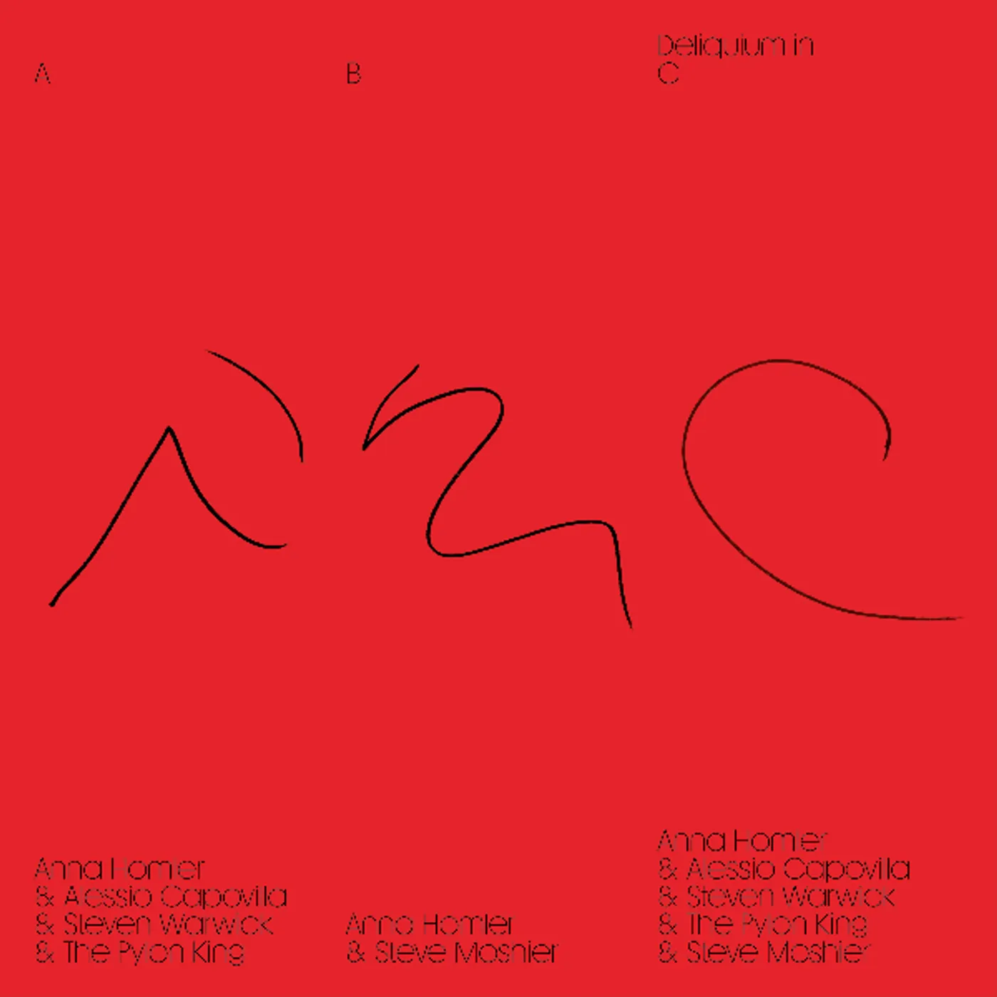 Anna Homler Deliquium in C Vinyl Record
