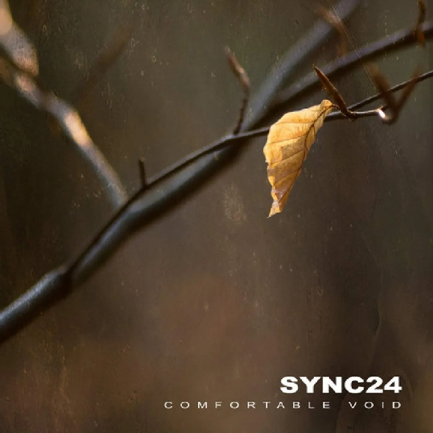 Sync24 CONFORTABLE VOID CD
