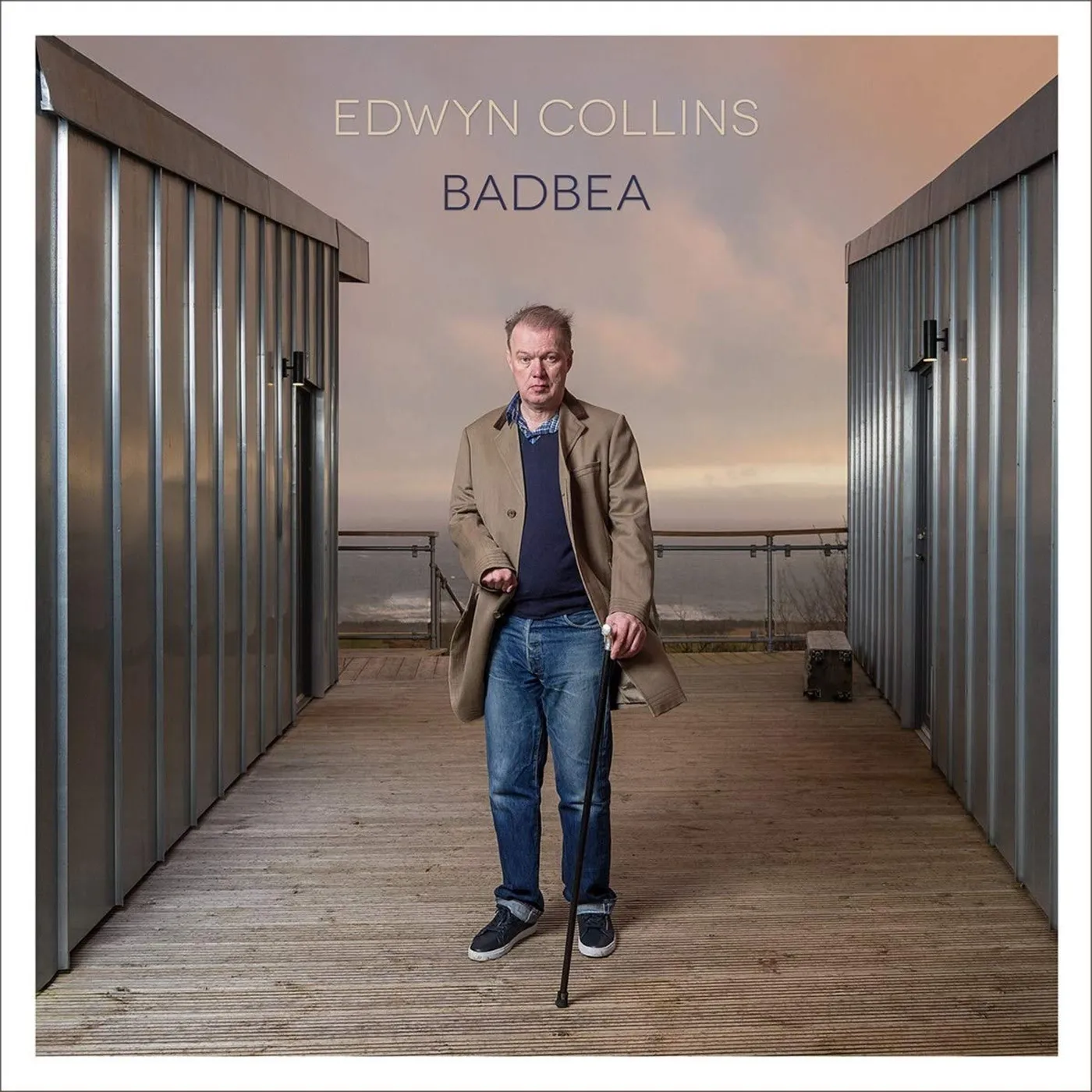 Edwyn Collins Badbea Vinyl Record