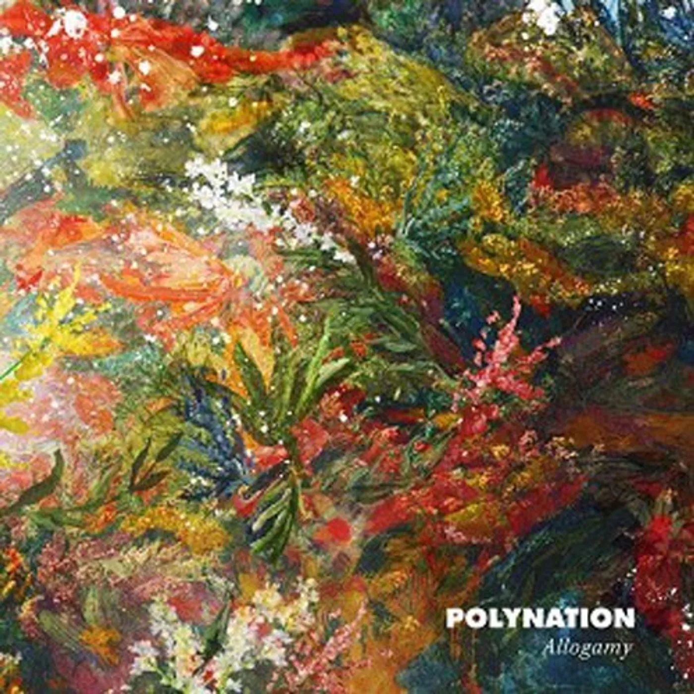 Polynation Allogamy Vinyl Record