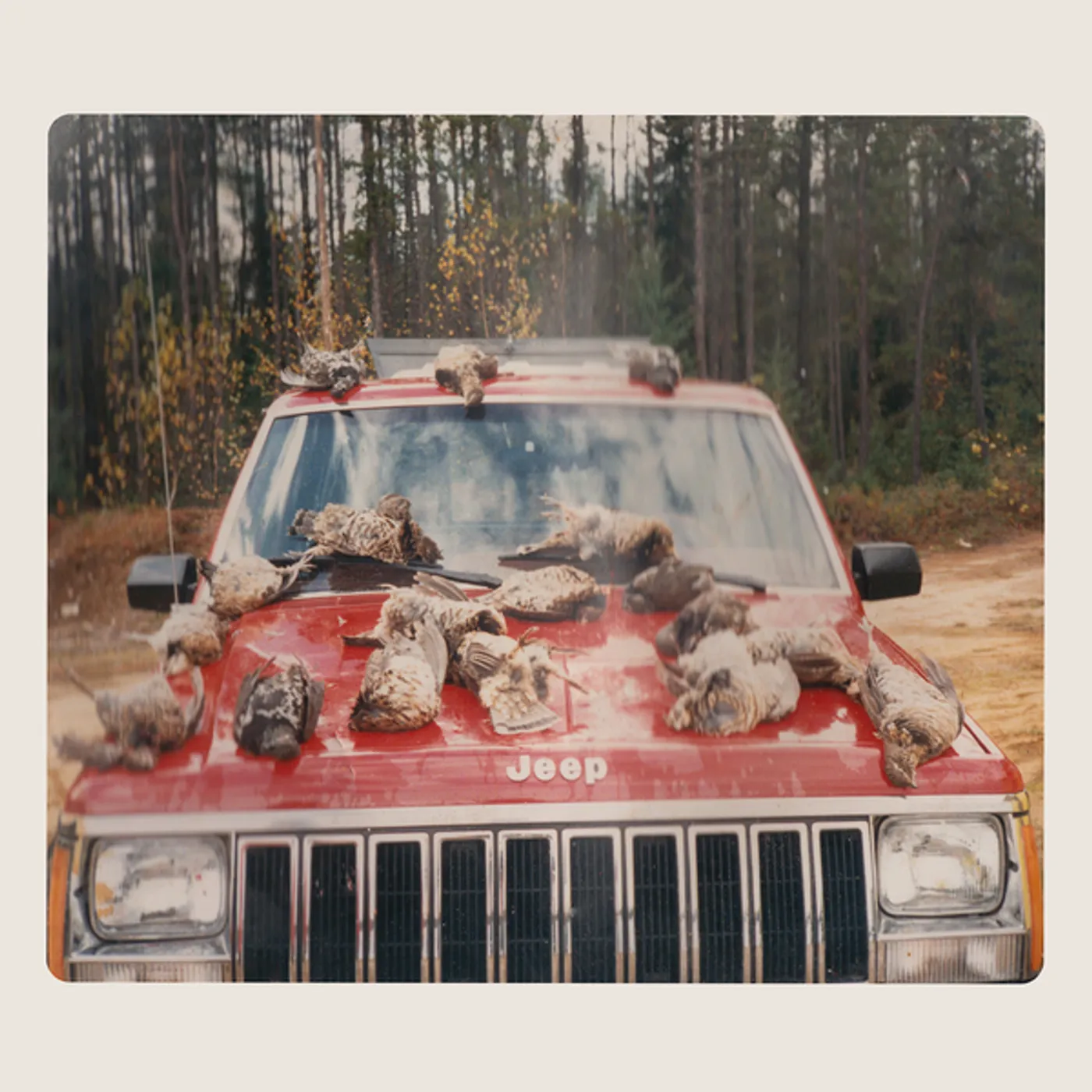 Efrim Manuel Menuck ARE SING SINCK SING Vinyl Record