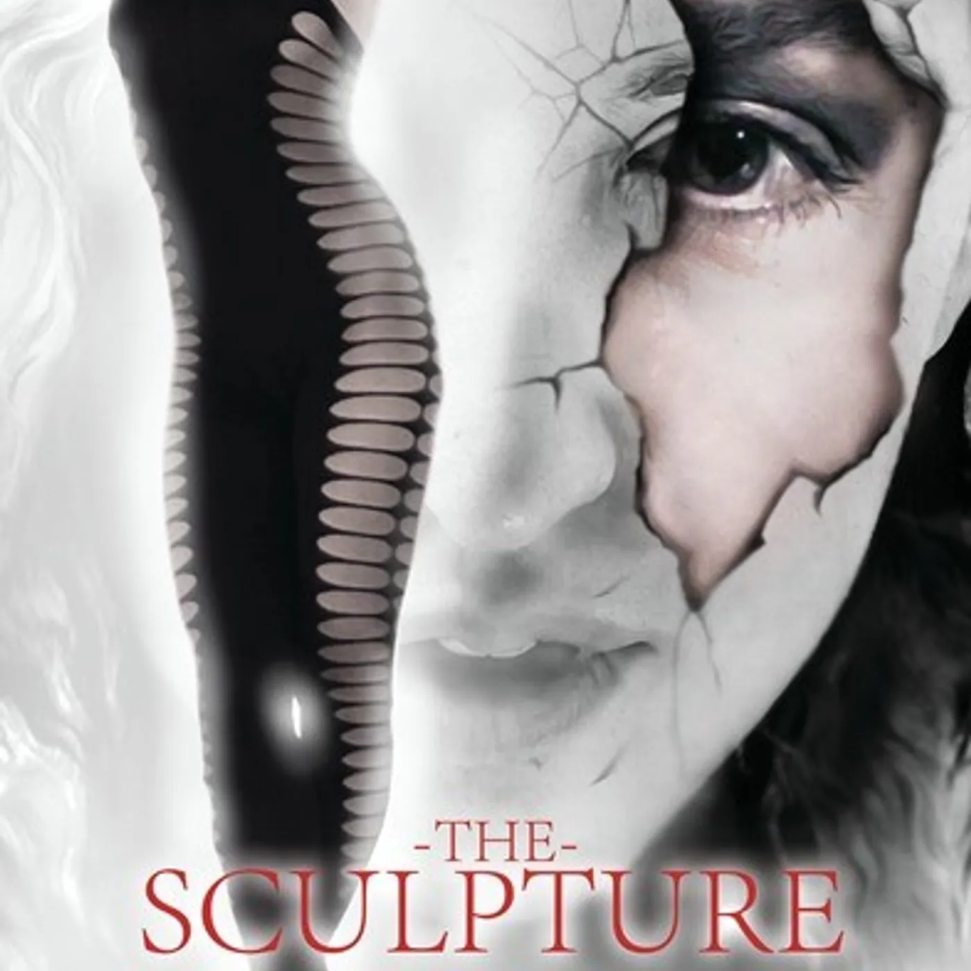 Sculpture DVD
