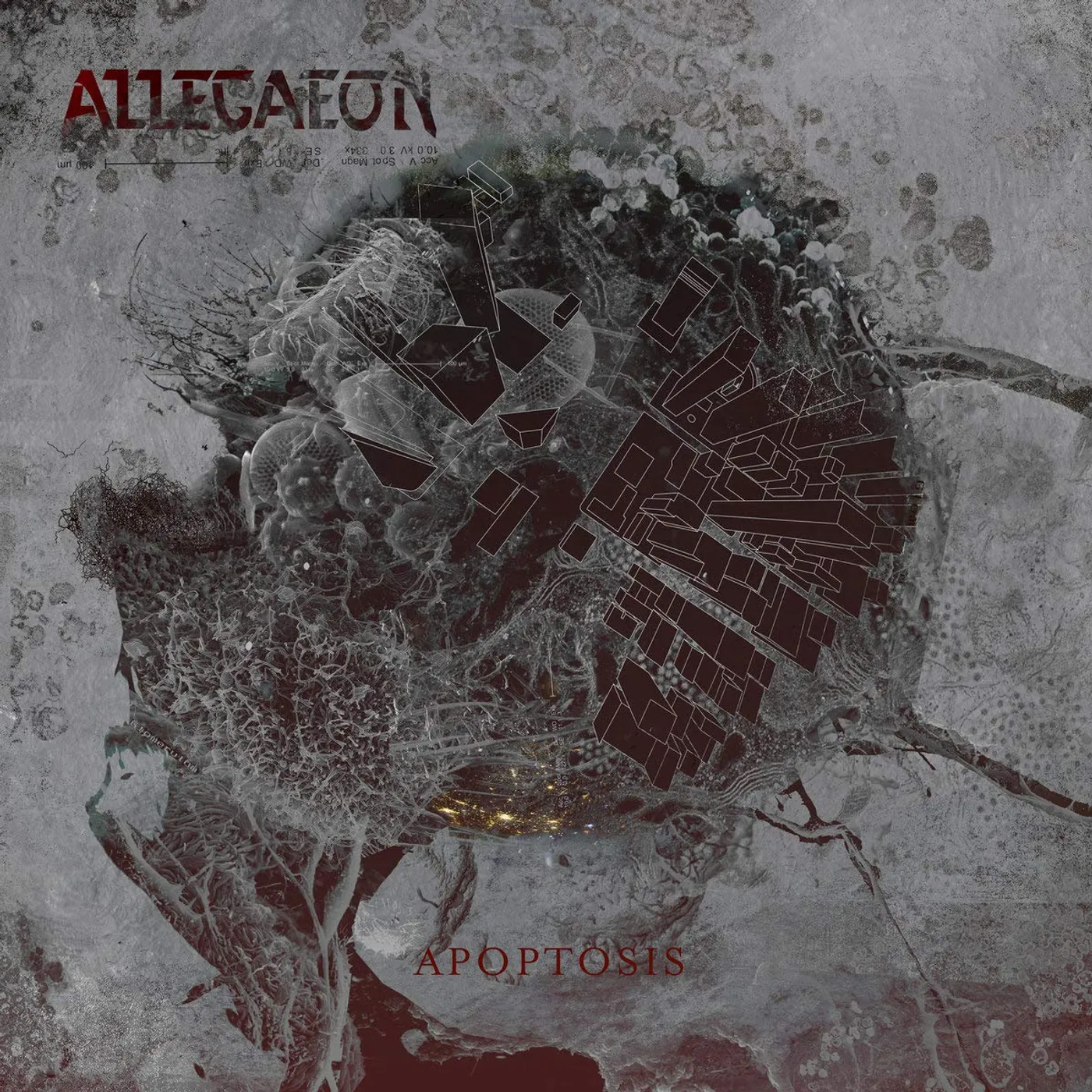 Allegaeon APOPTOSIS CD