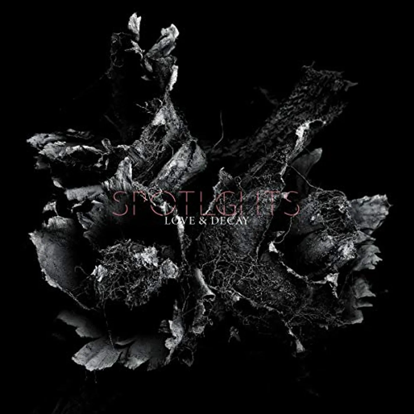 Spotlights LOVE & DECAY CD