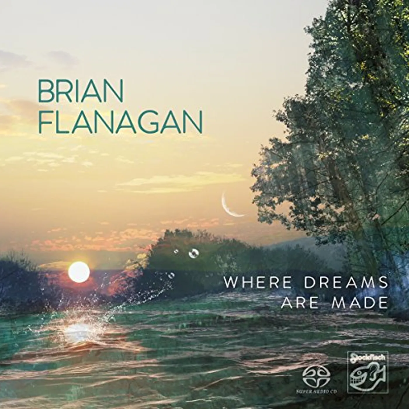 Brian Flanagan WHERE DREAMS ARE MADE Super Audio CD