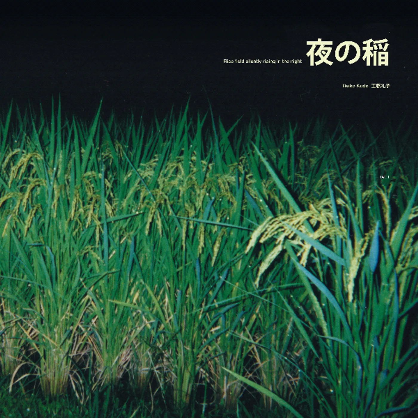 Reiko Kudo Rice Field Silently Riping In The Night Vinyl Record