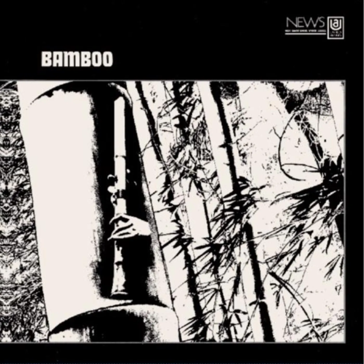 Minoru Muraoka Bamboo Vinyl Record