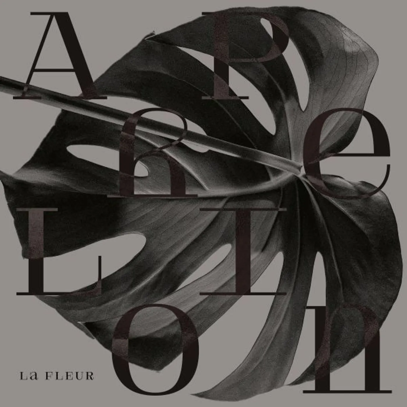 Fleur APHELION Vinyl Record