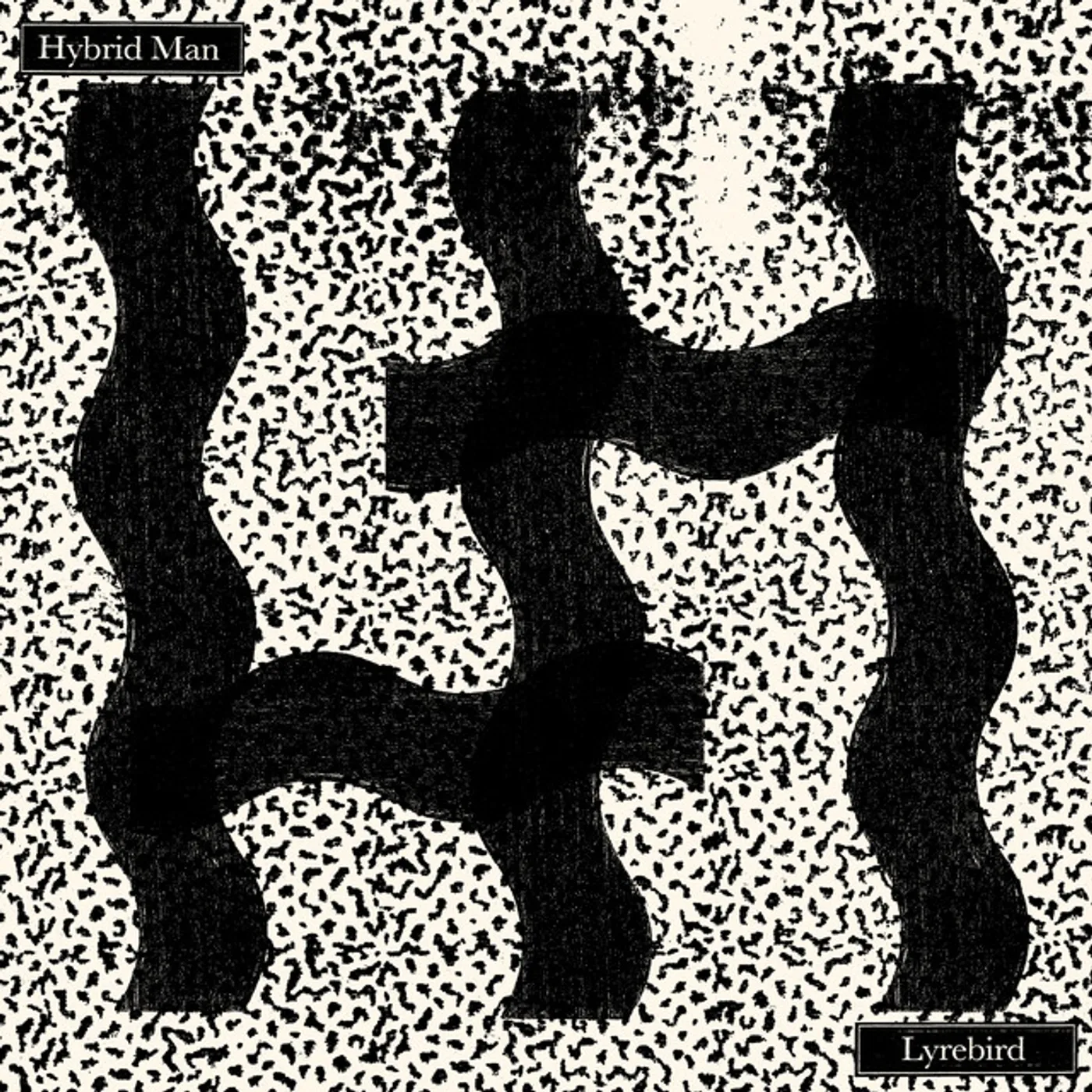 Hybrid Man Lyrebird Vinyl Record