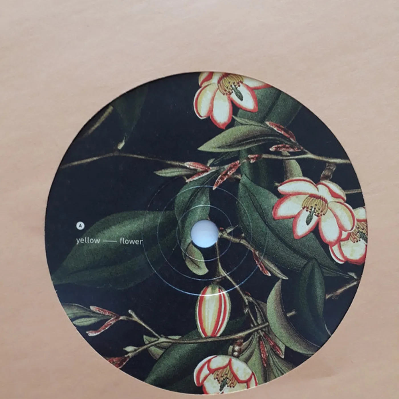 Es-K TRANSMISSION Vinyl Record