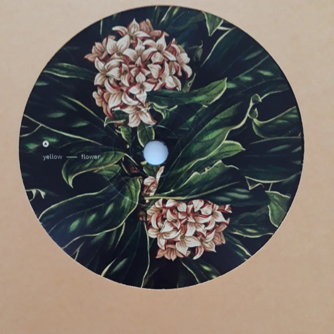 Tomppabeats SUMMER LOVER Vinyl Record