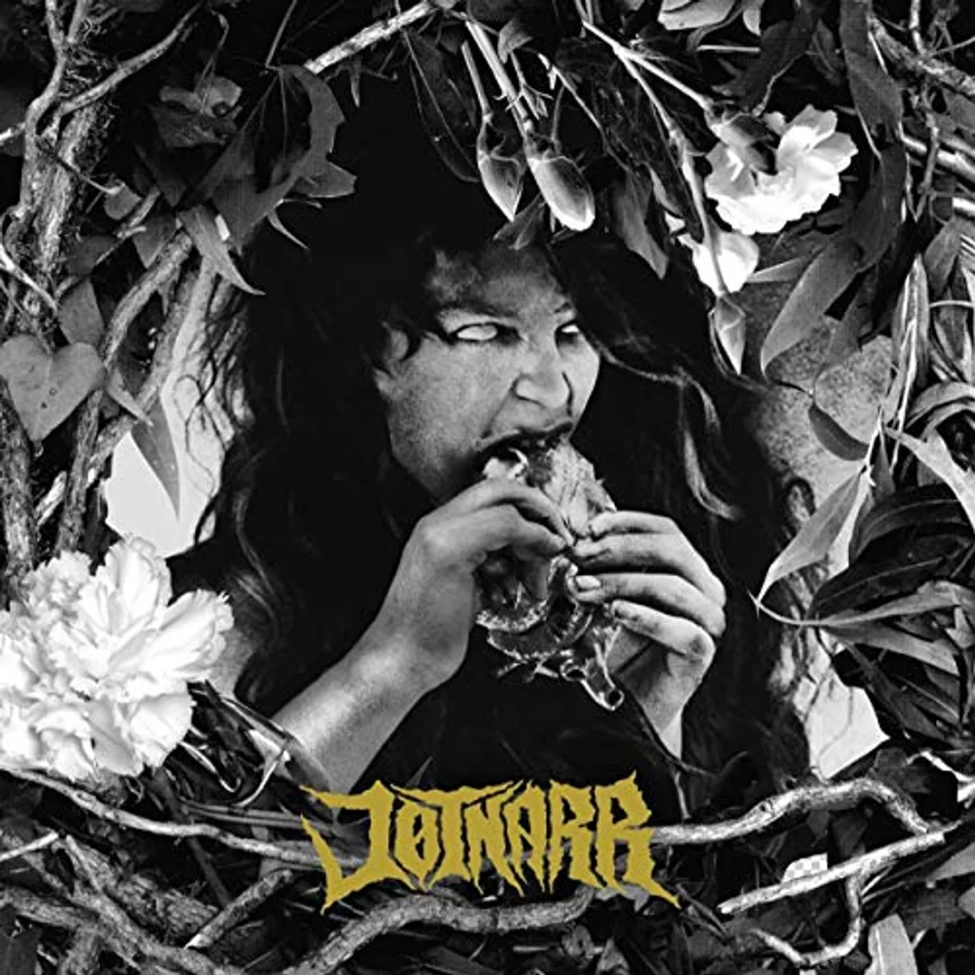 Jøtnarr Vinyl Record