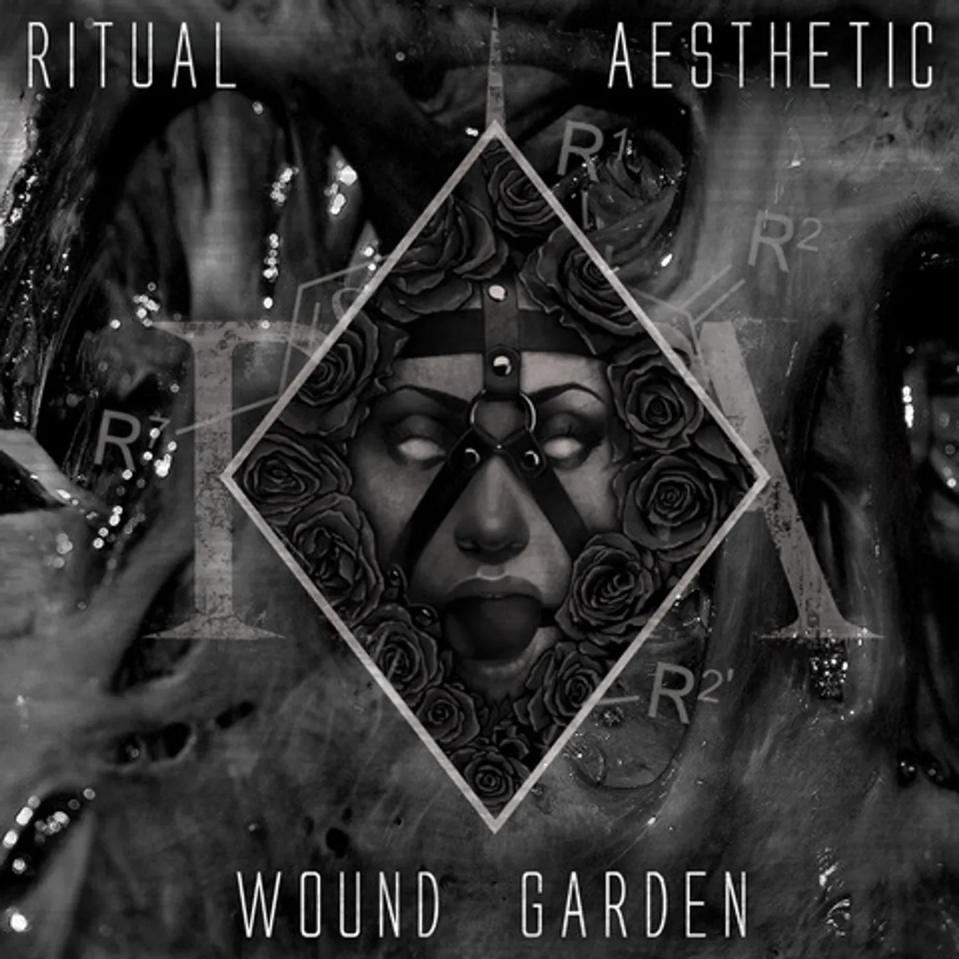 Ritual Aesthetic Wound Garden Vinyl Record