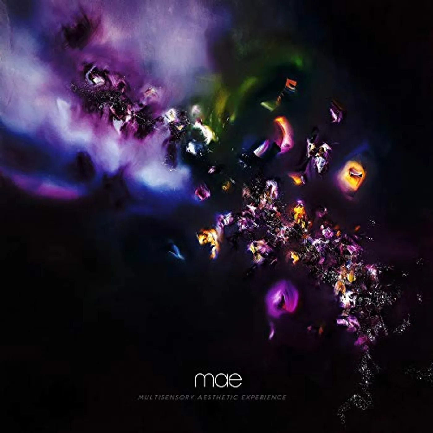Mae Multisensory Aesthetic Experience Vinyl Record