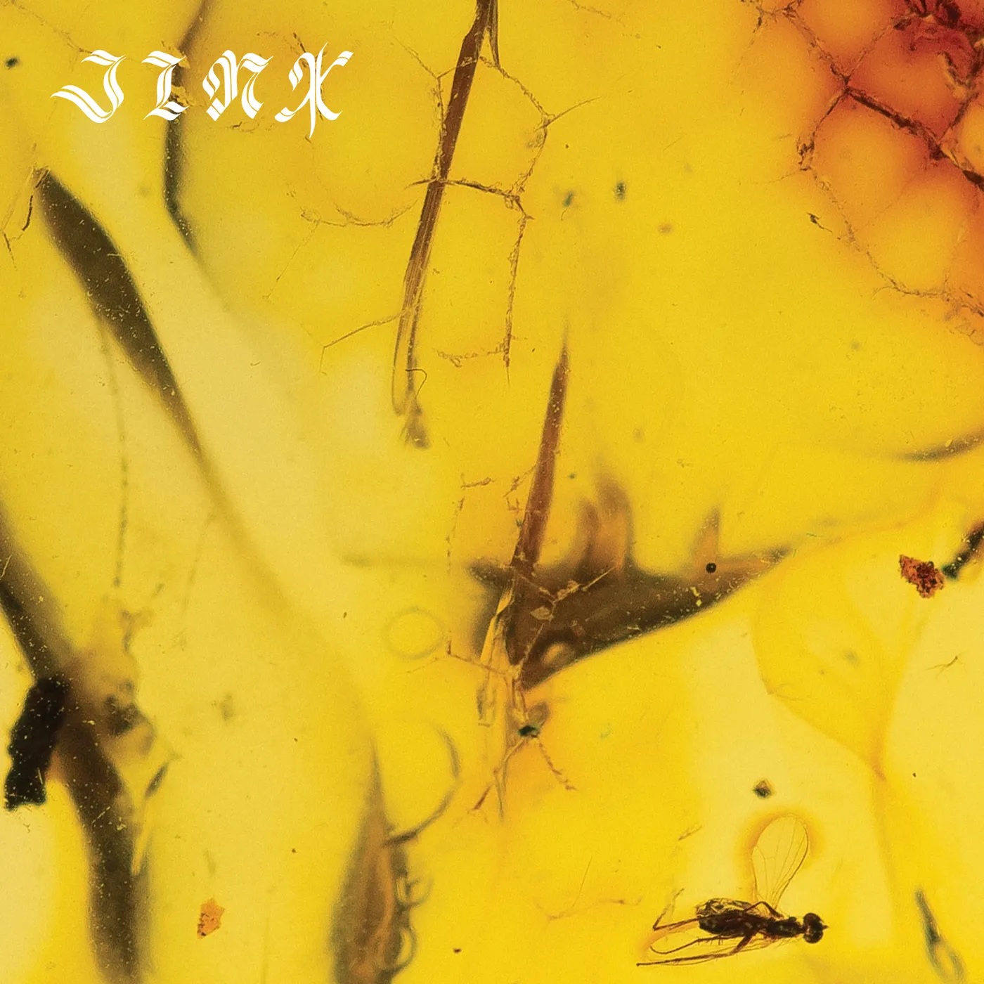 Crumb JINX CD