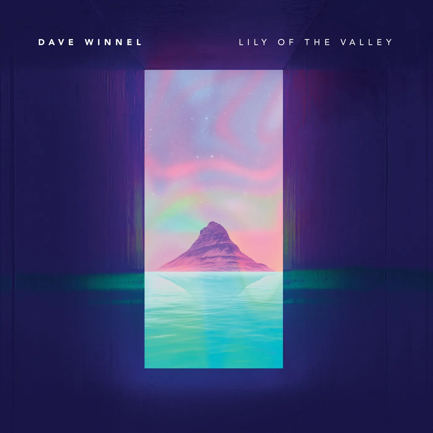 Dave Winnel Lily Of The Valley (The Journey) Vinyl Record