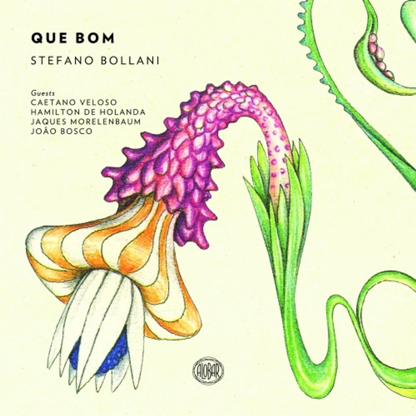 Stefano Bollani Que Bom Vinyl Record