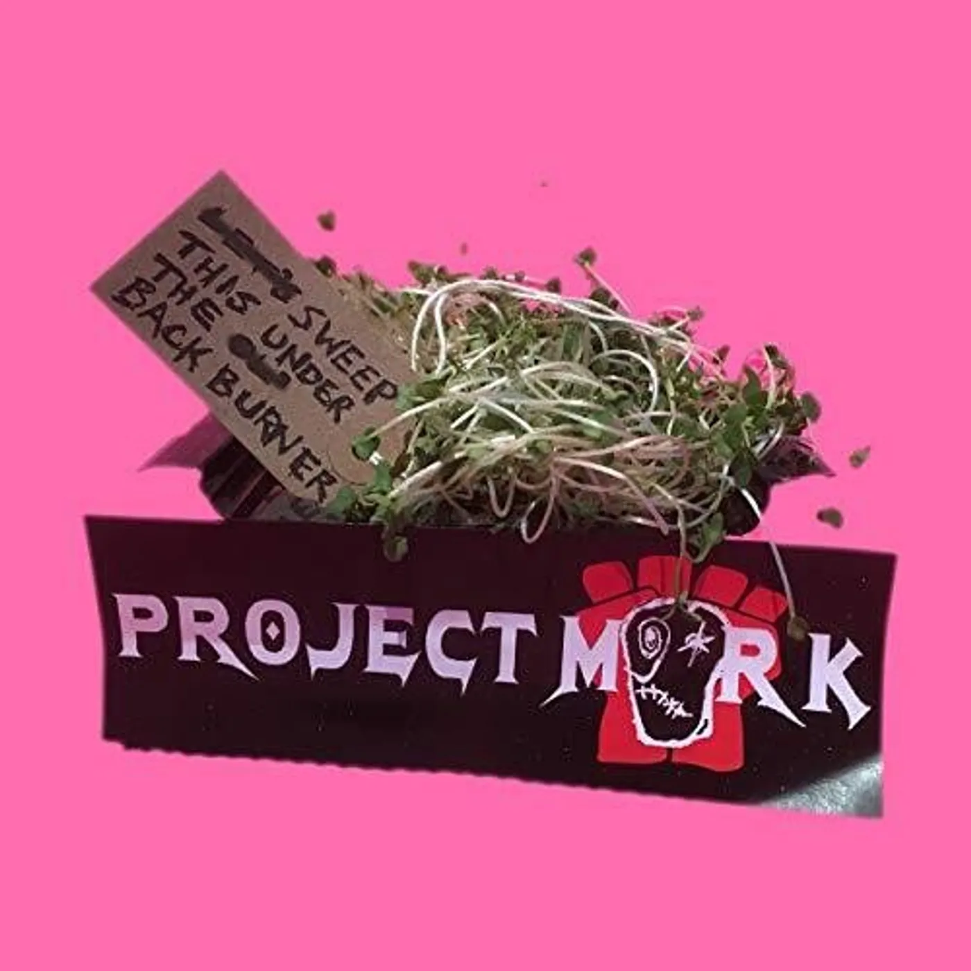 Project Mork Sweep This Under the Backburner Vinyl Record