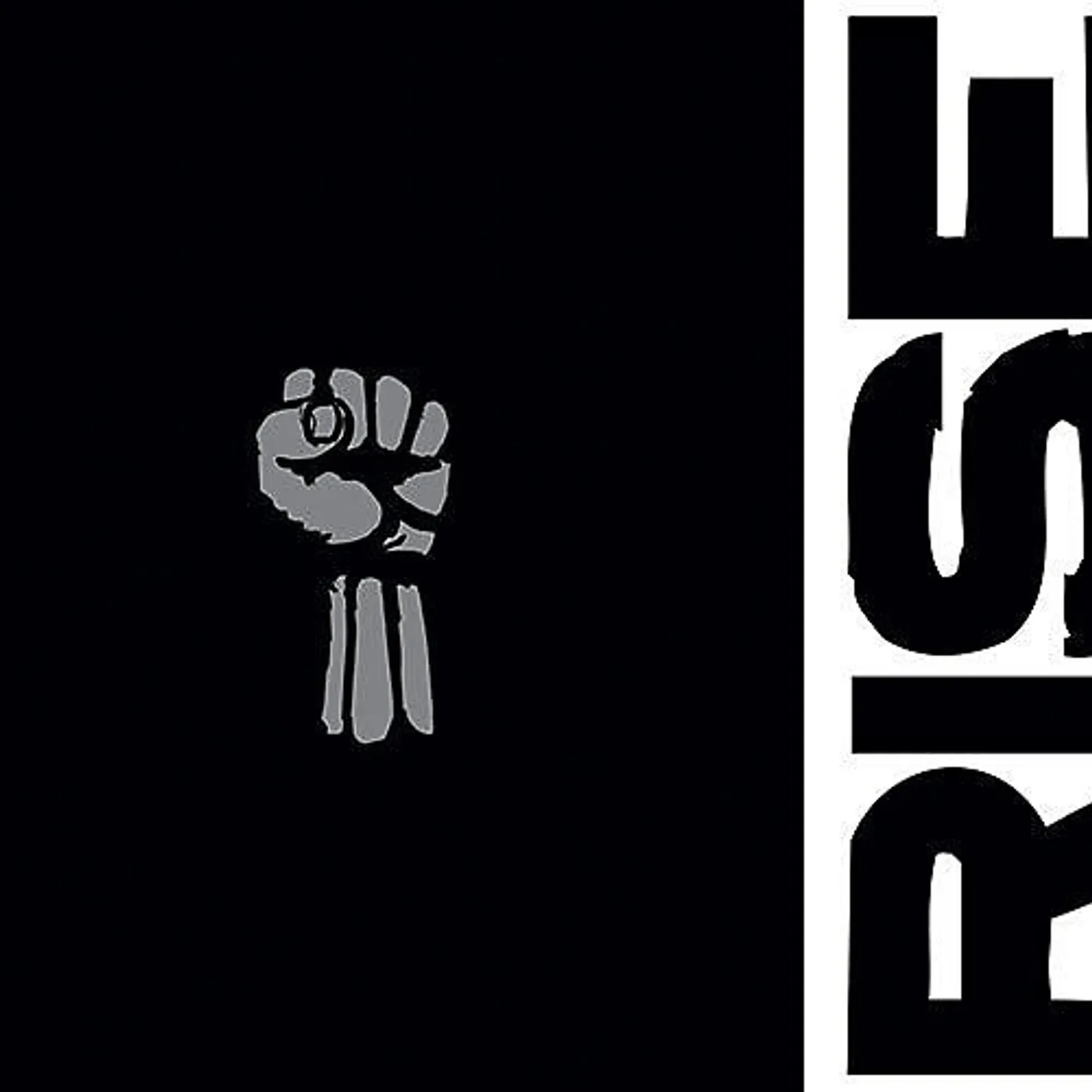 Rise Against CAREER VINYL BOOK Vinyl Record