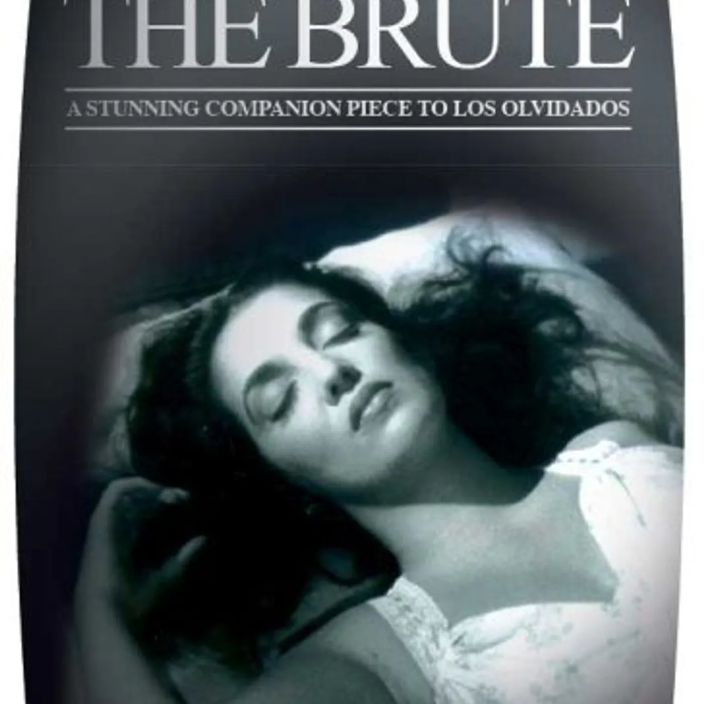 BRUTE DVD