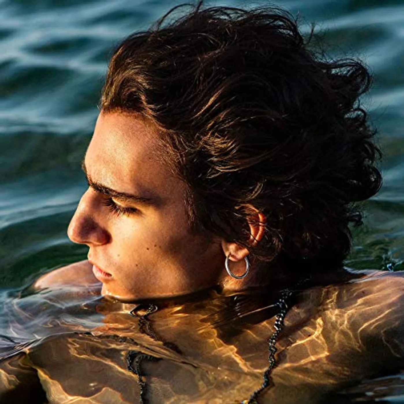 Tamino Amir Vinyl Record