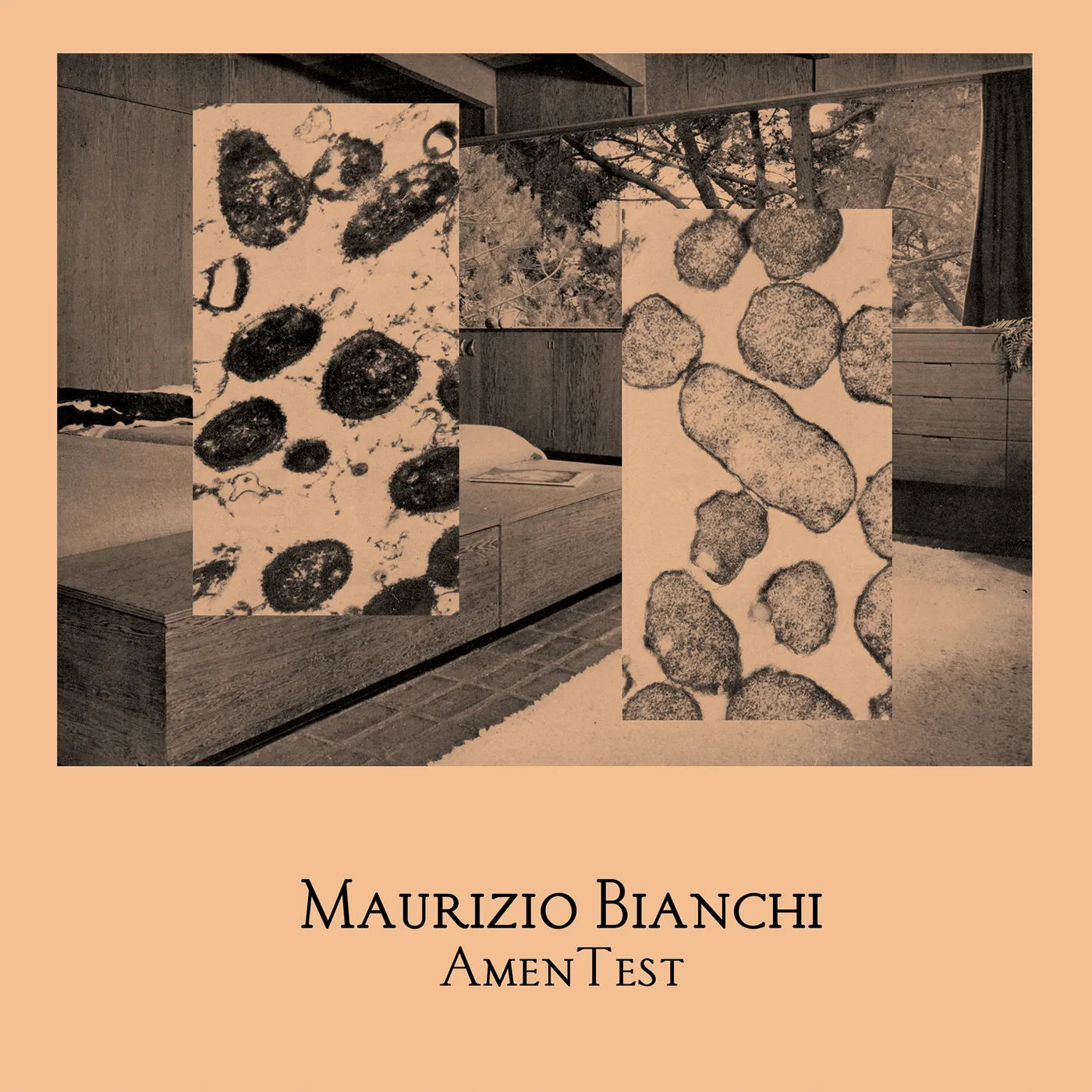 Bianchi, Maurizio AmenTest Vinyl Record