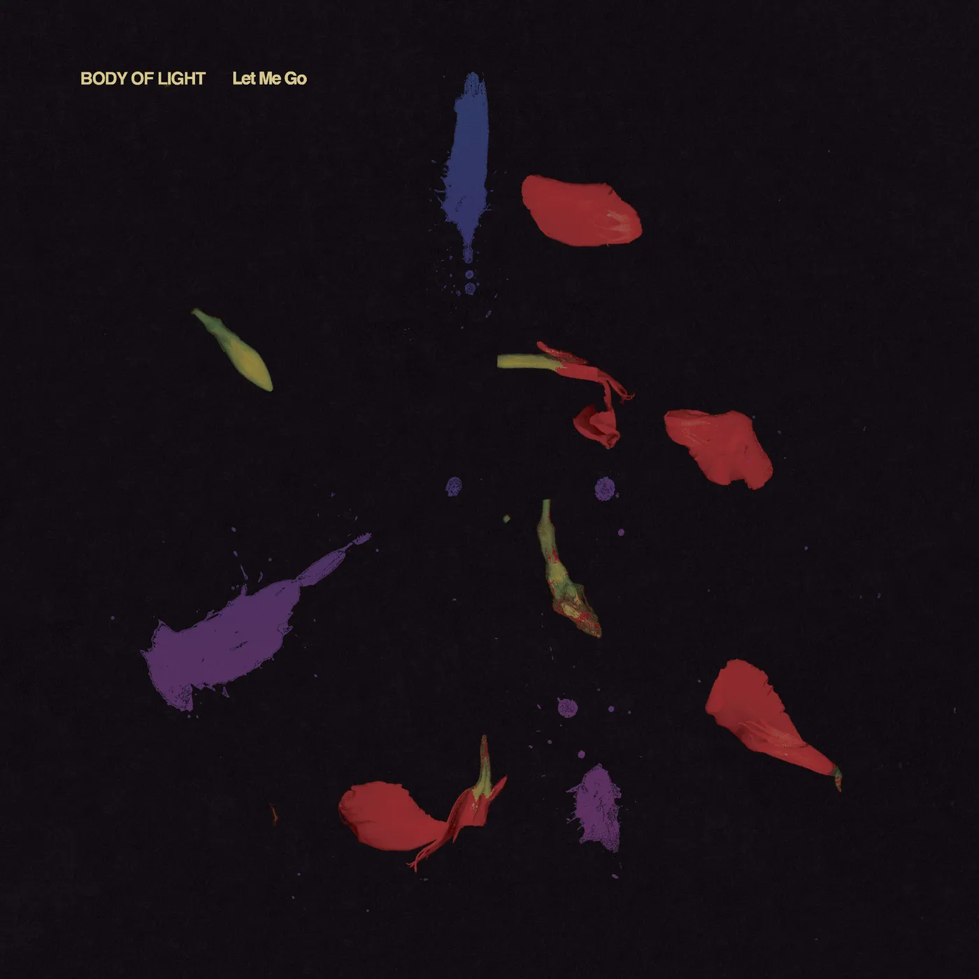 Body of Light Let Me Go Vinyl Record
