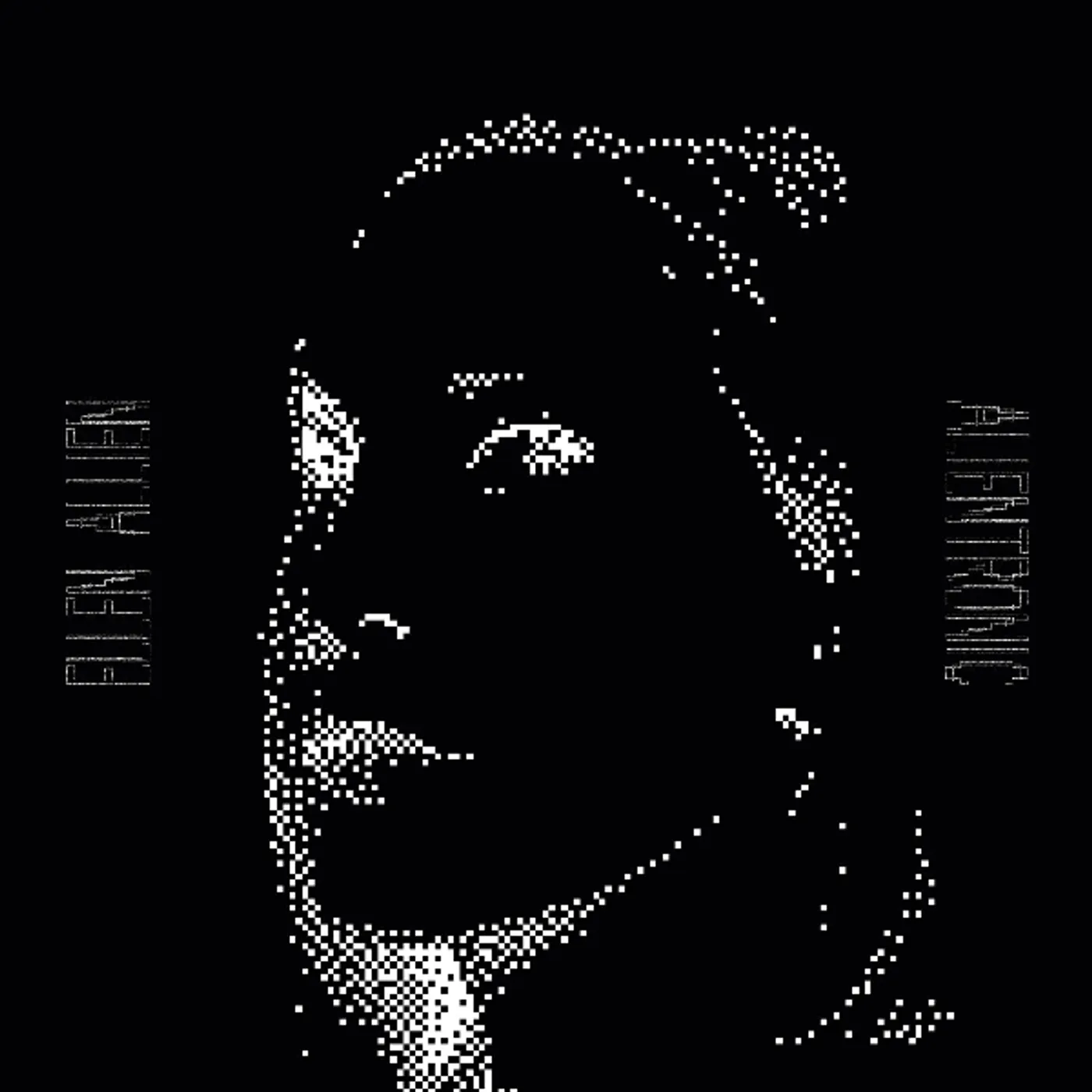 Ellen Allien Alientronic Vinyl Record