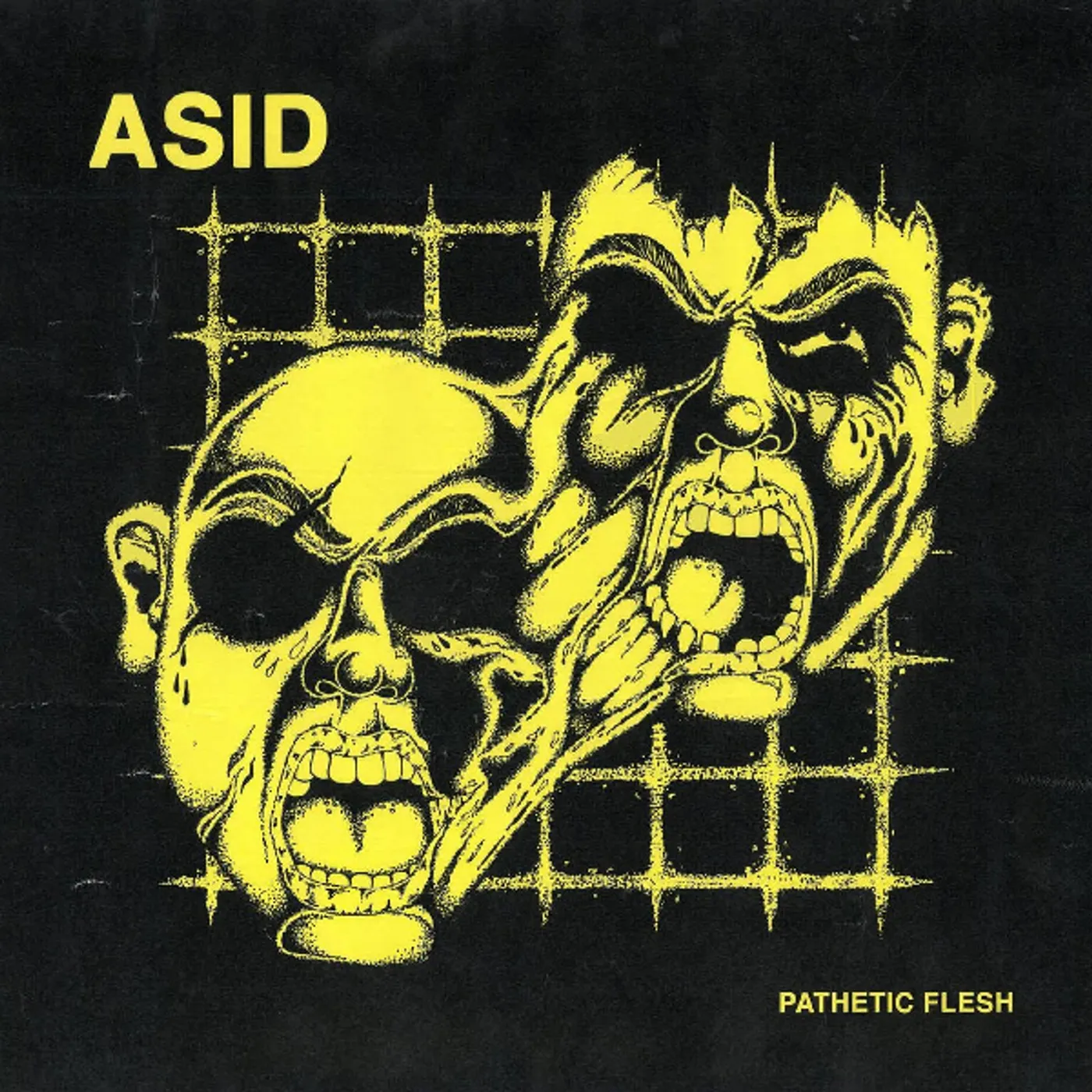 Asid Pathetic Flesh Vinyl Record