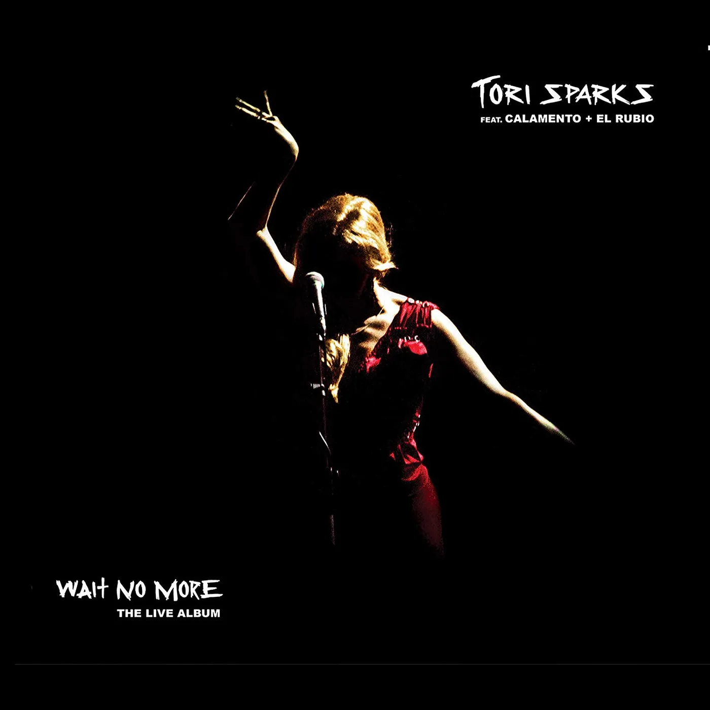 Tori Sparks WAIT NO MORE CD