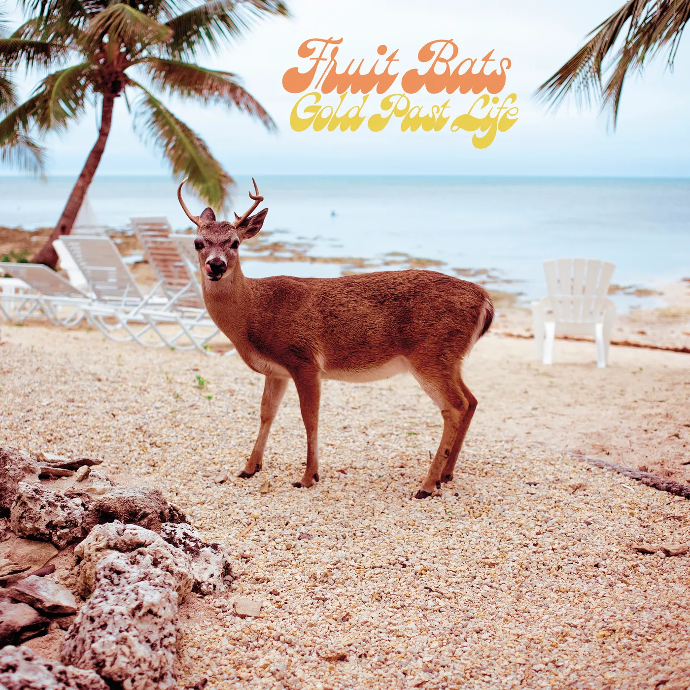 Fruit Bats GOLD PAST LIFE CD