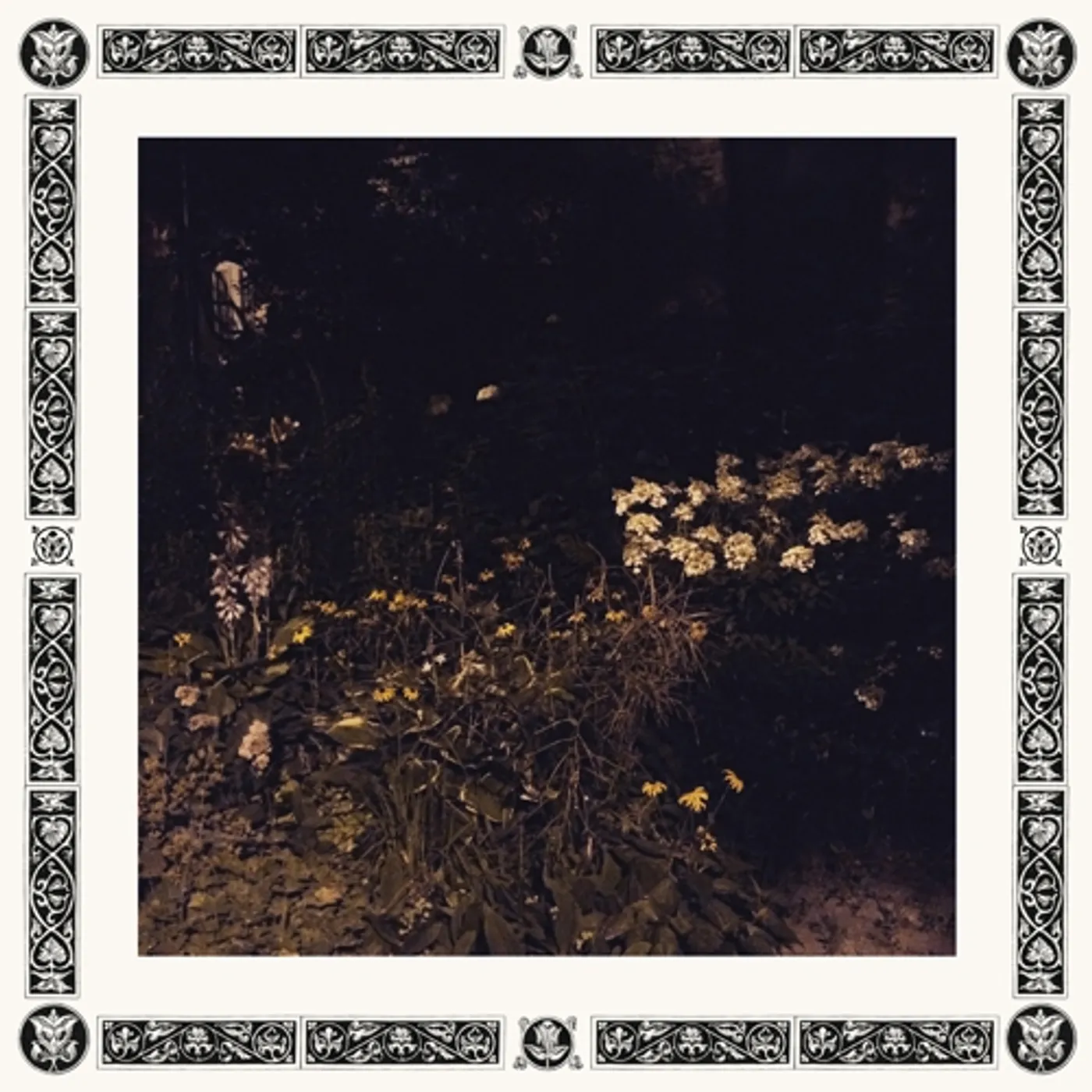 Sarah Davachi Pale Bloom Vinyl Record