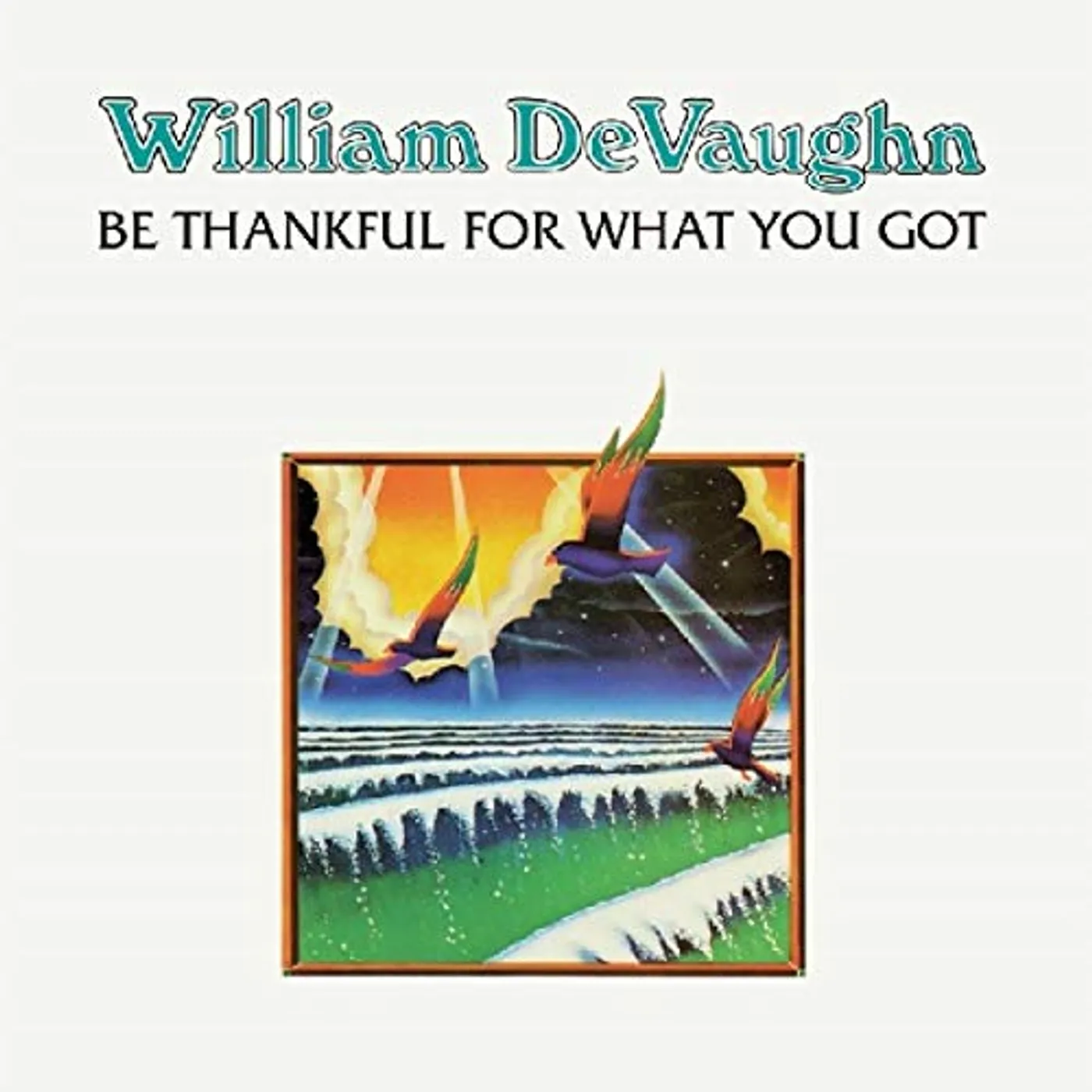 William DeVaughan BE THANKFUL FOR WHAT YOU GOT Vinyl Record