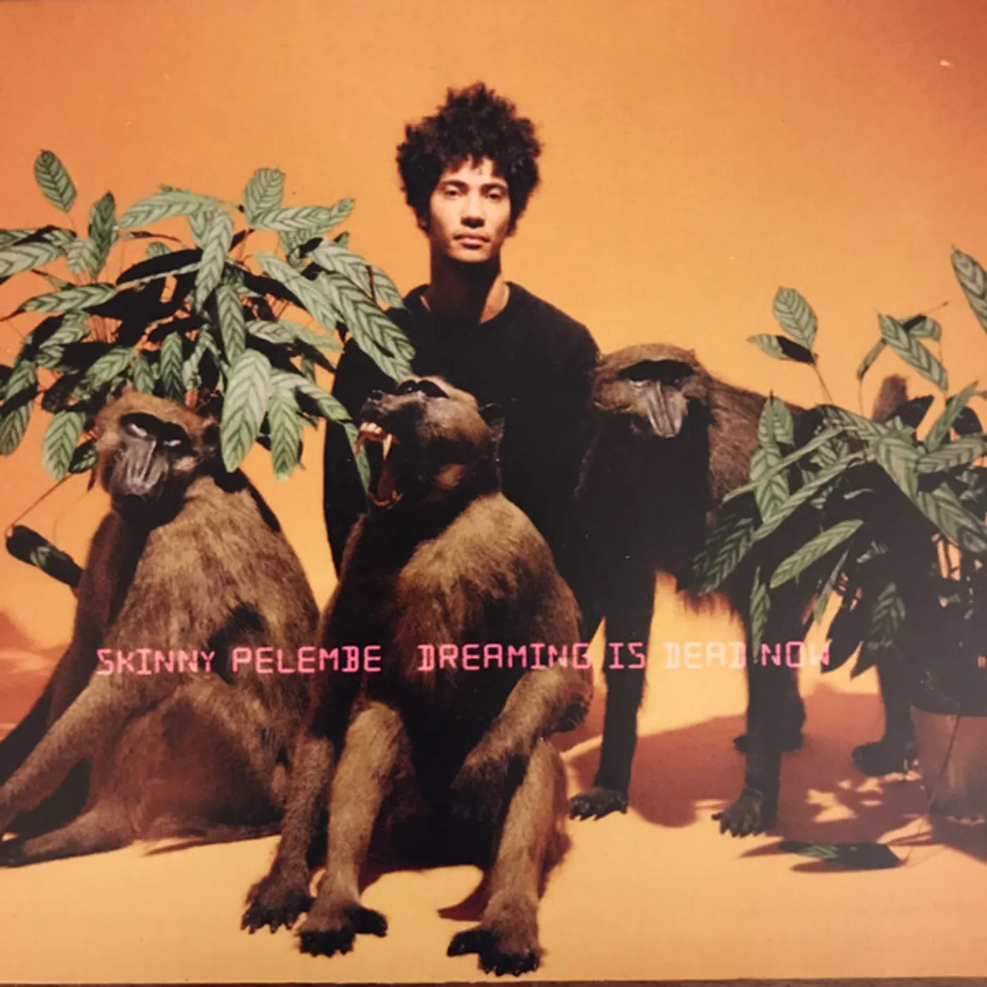 Skinny Pelembe DREAMING IS DEAD NOW Vinyl Record
