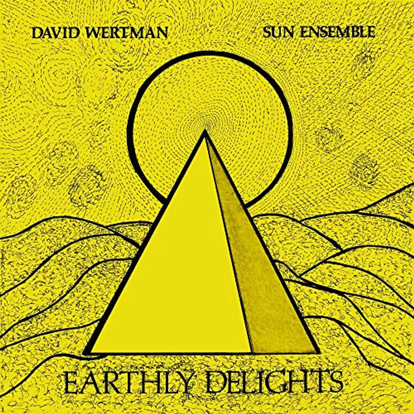 David Wertman & Sun Ensemble EARTHLY DELIGHTS Vinyl Record