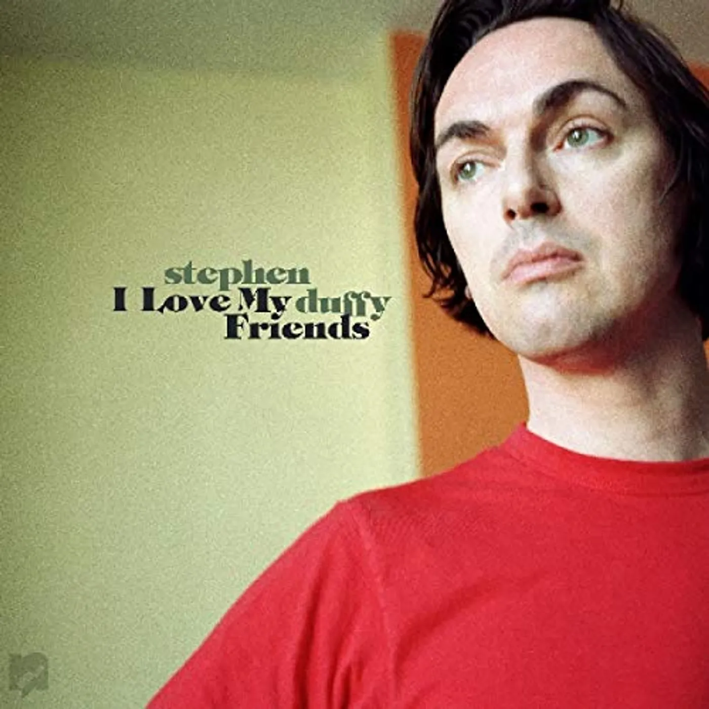 Stephen Duffy I Love My Friends Vinyl Record
