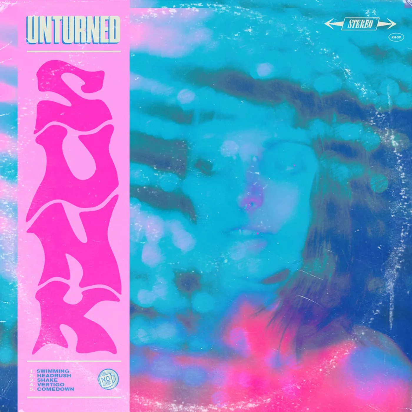 Unturned SUNK Vinyl Record