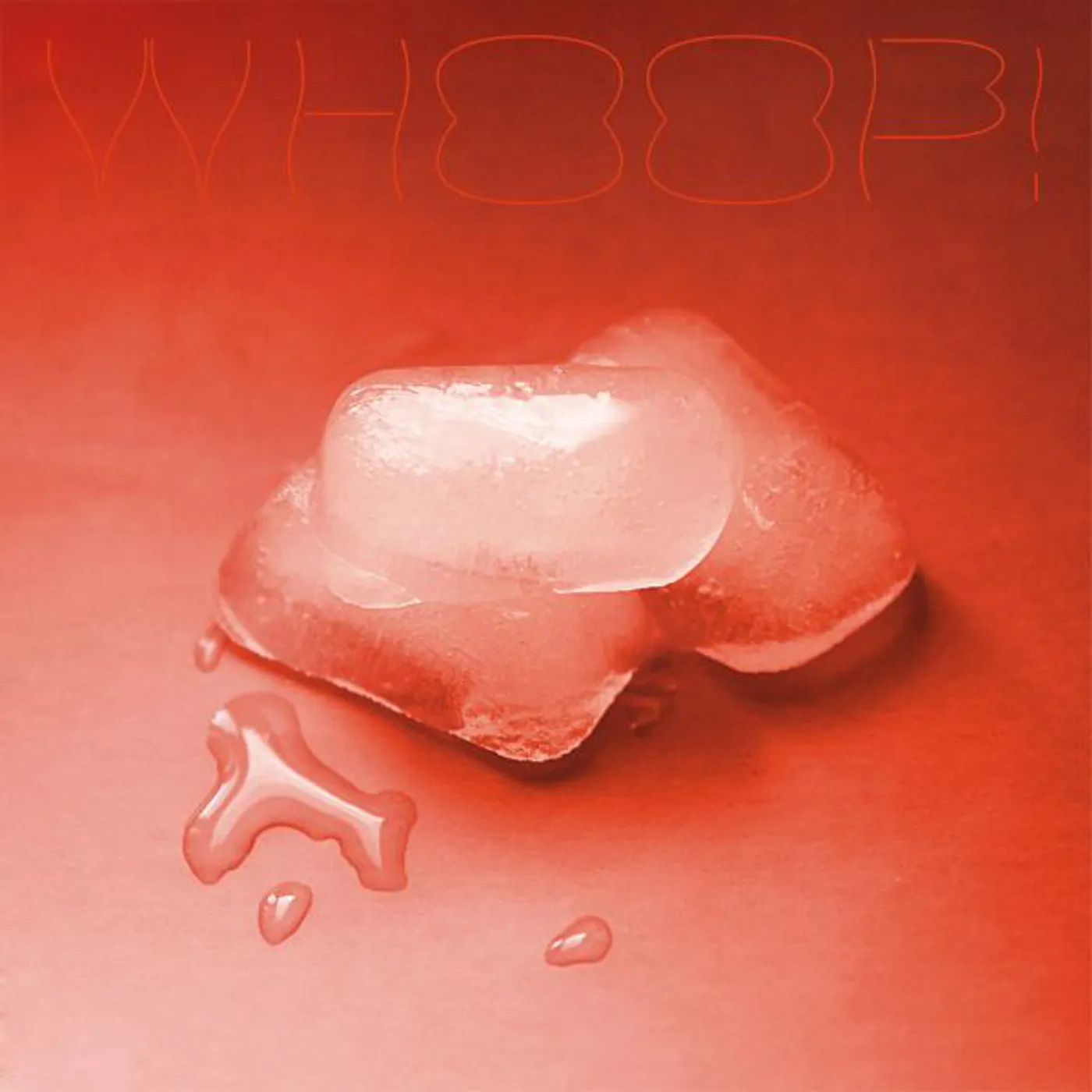 Ant Antic WHOOP Vinyl Record