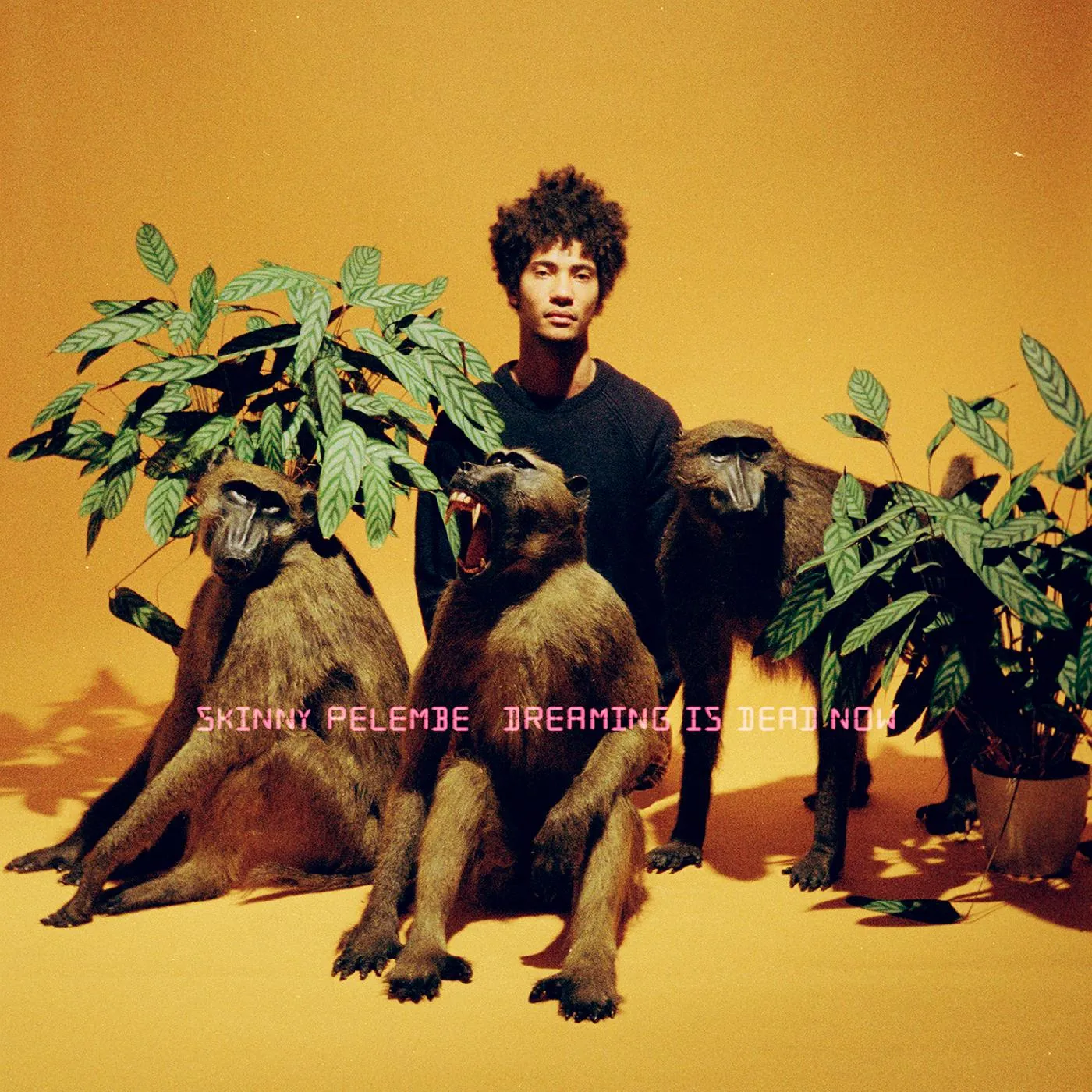 Skinny Pelembe DREAMING IS DEAD NOW CD