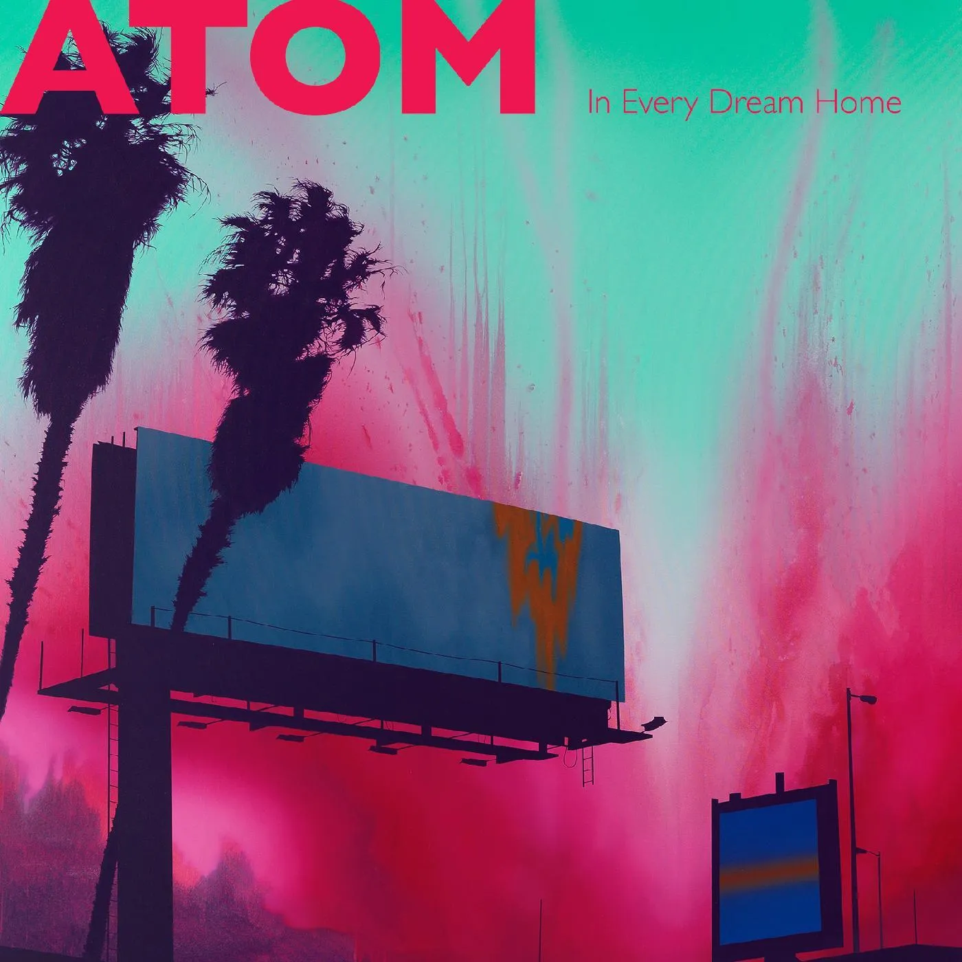 Atom IN EVERY DREAM HOME Vinyl Record
