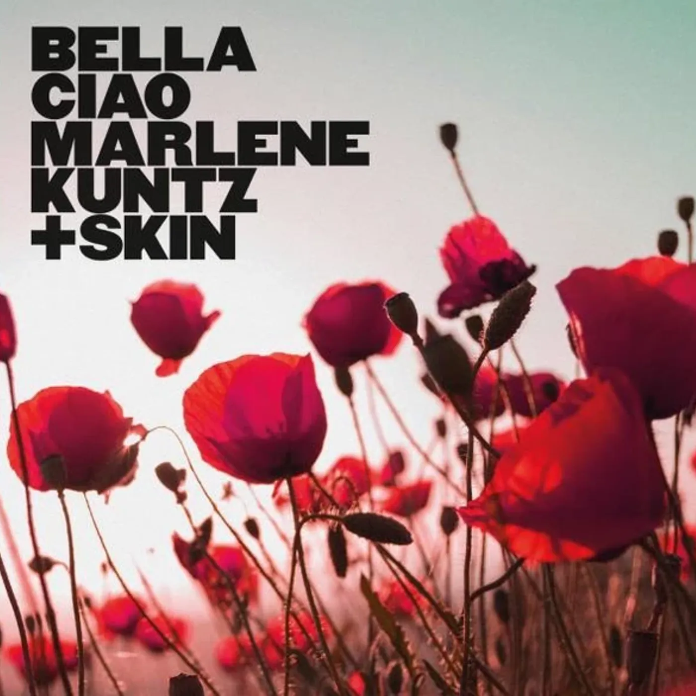 Marlene Kuntz / Skin BELLA CIAO Vinyl Record