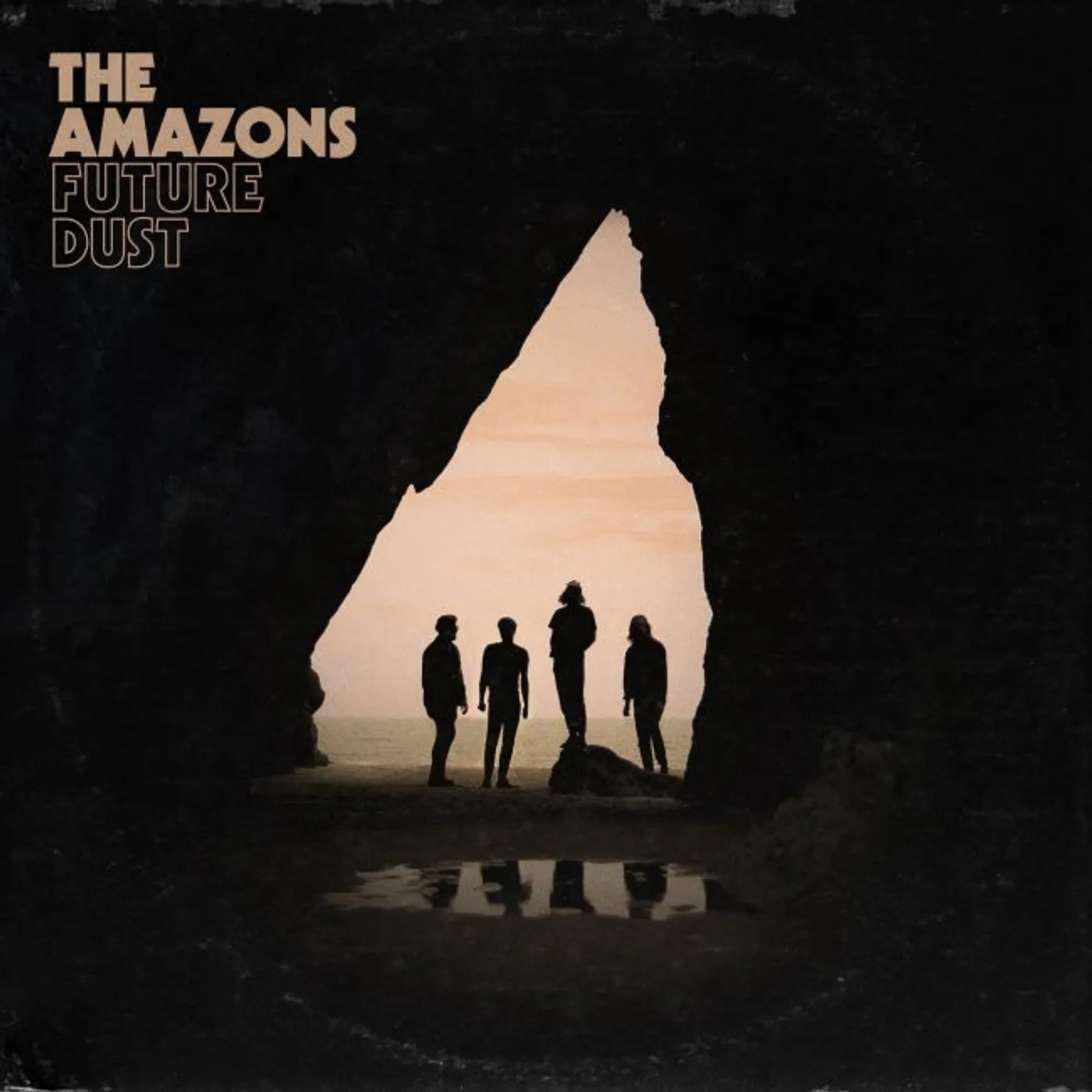 The Amazons FUTURE DUST Vinyl Record