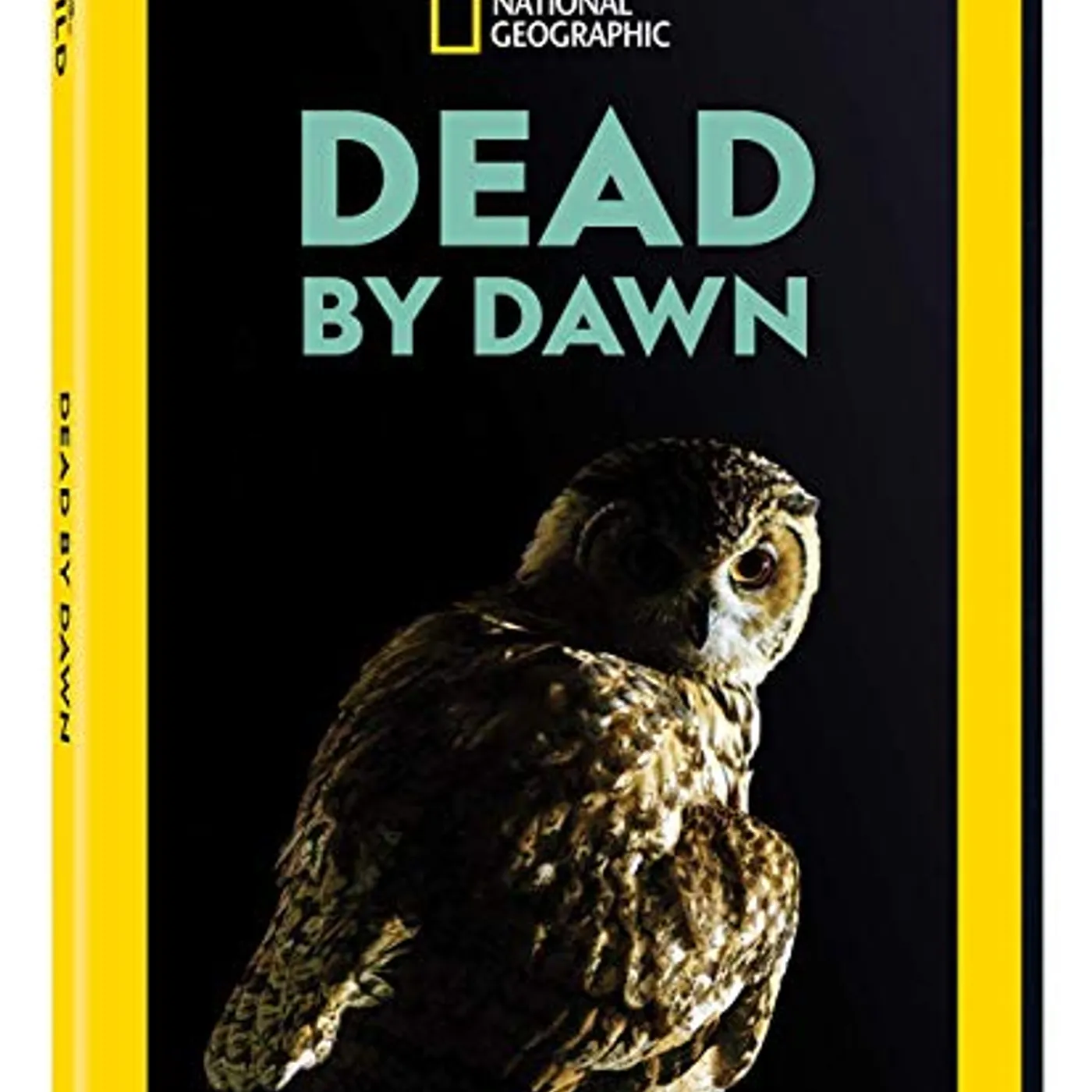 Dead By Dawn Brand Page