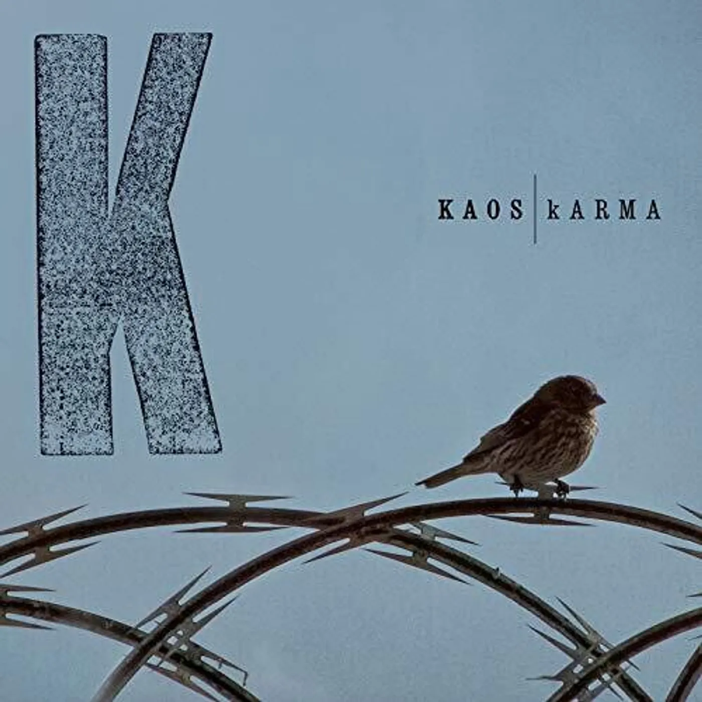 KAOS Karma Vinyl Record