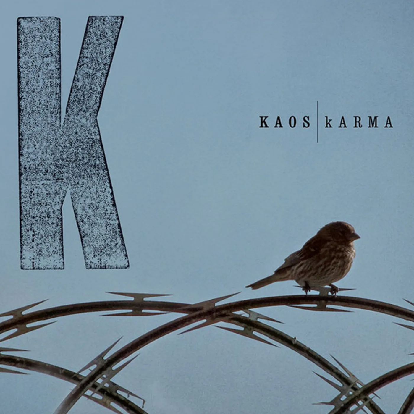 KAOS Karma Vinyl Record