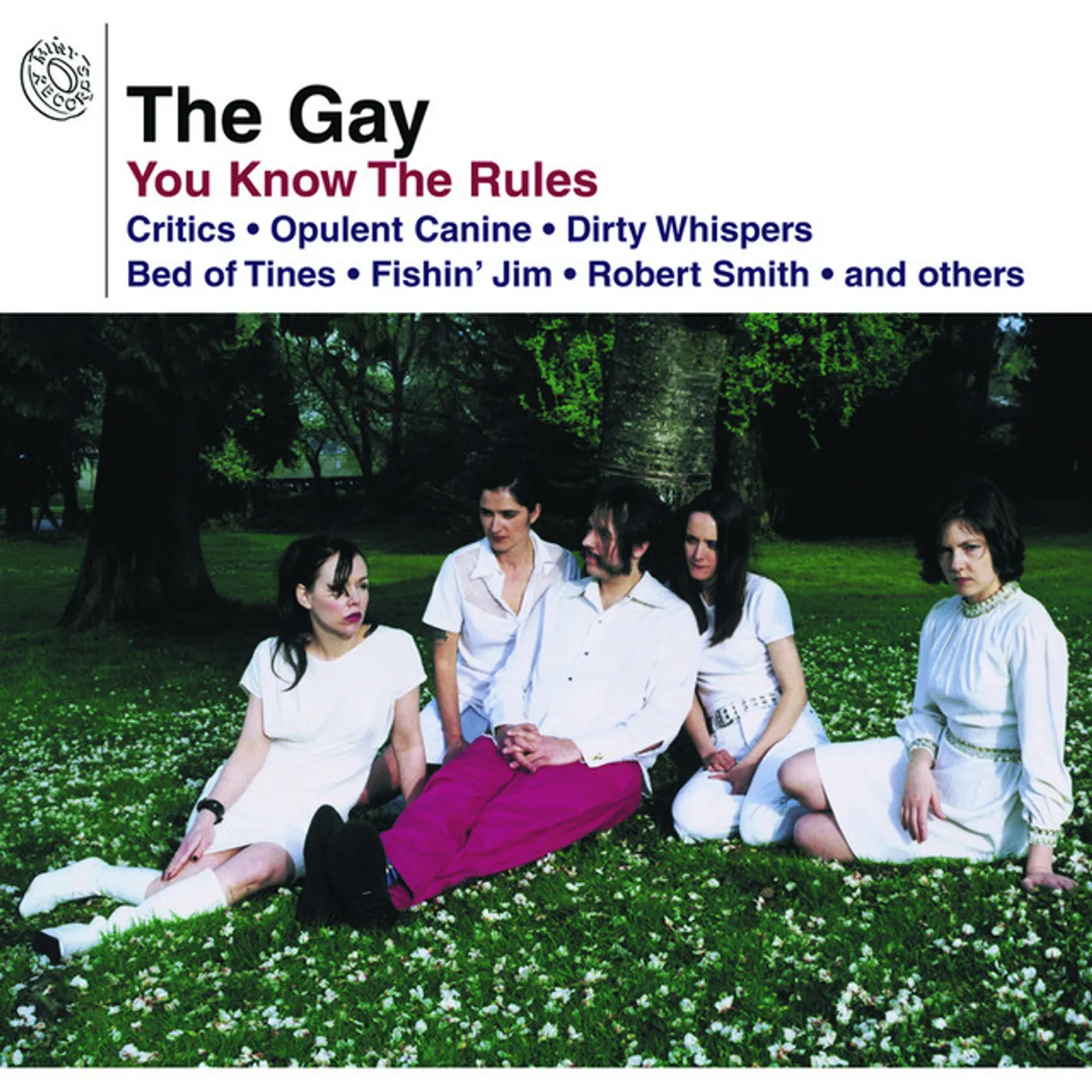 Gay You know the Rules Vinyl Record