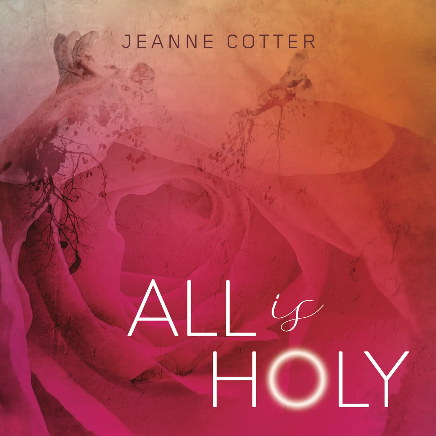 Jeanne Cotter COTTER: ALL IS HOLY CD