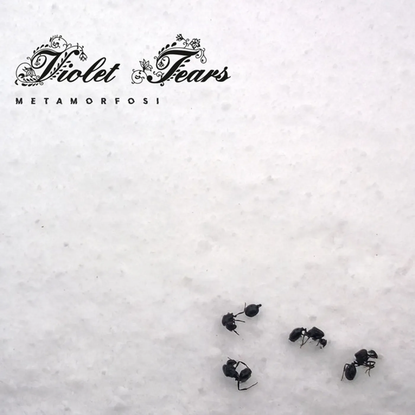 Violet Tears METAMORFOSI CD